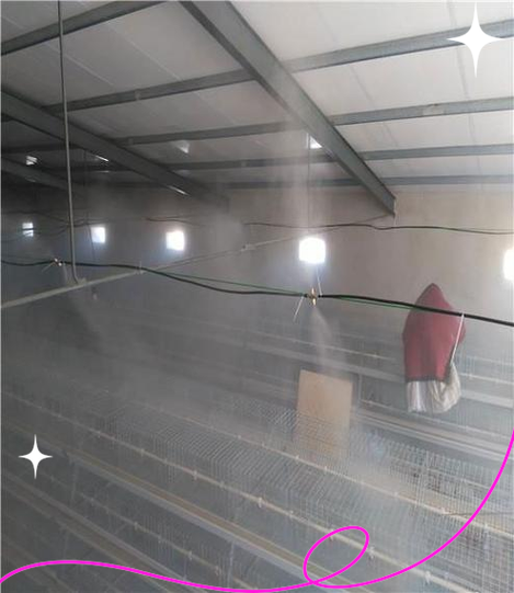 鸡舍消毒最简单方法缩略图