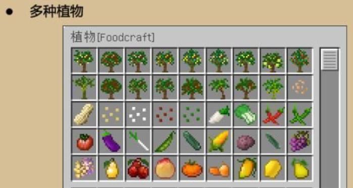 mc怎么放置食物