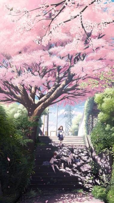 樱花动漫2021年