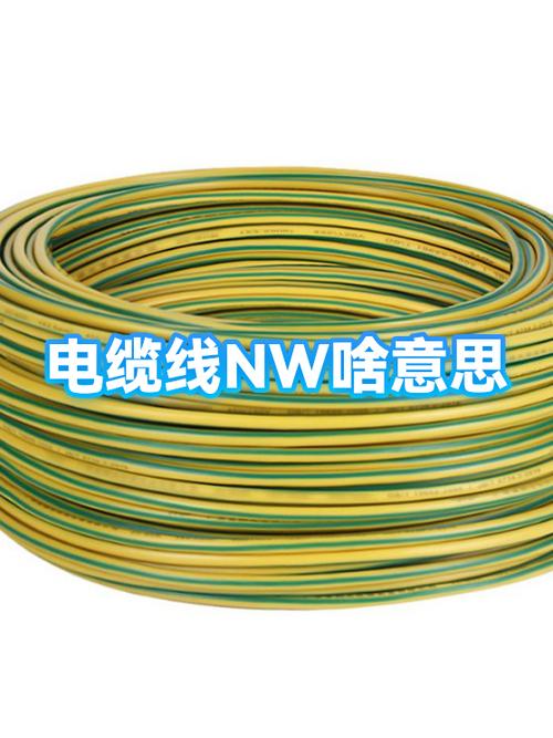 网络nw是什么意思
