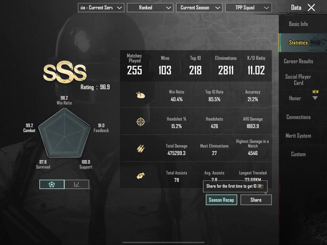 pubg职业选手参数网站截图