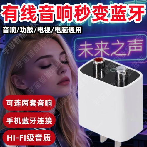 蓝牙音频输入