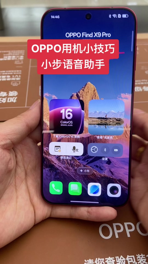 oppo手机抖音版本怎么更新图标