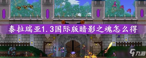 泰拉瑞亚暗影之魂1·3游戏截图