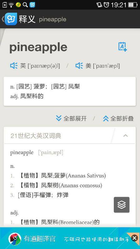 菠萝的英文怎么读正确发音
