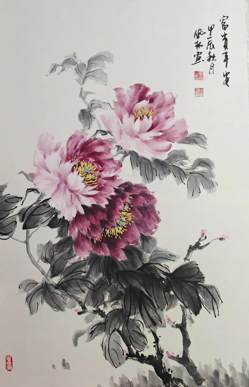 快手拍的作品保存起来找不到
