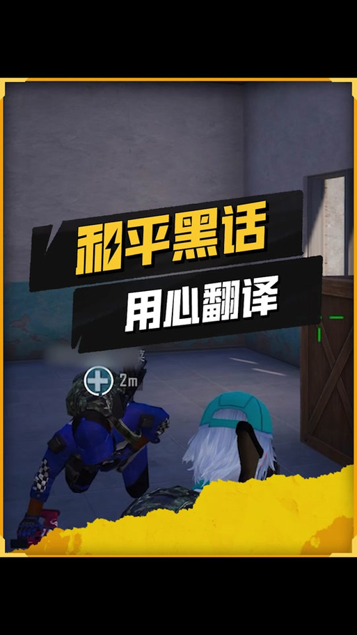 和平精英国际服设置翻译