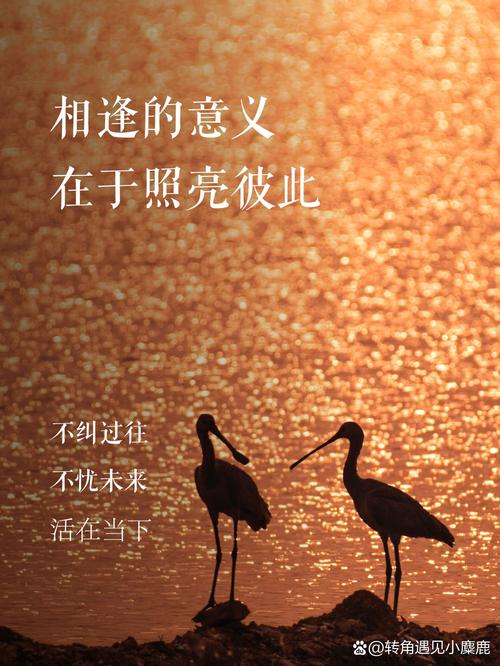 相遇的意思