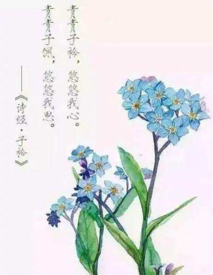 悠悠我心官方版缩略图