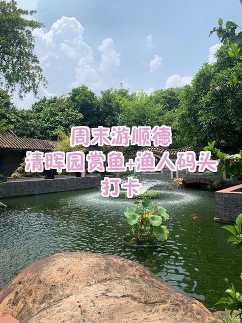 超级大鱼塘一天能做几单