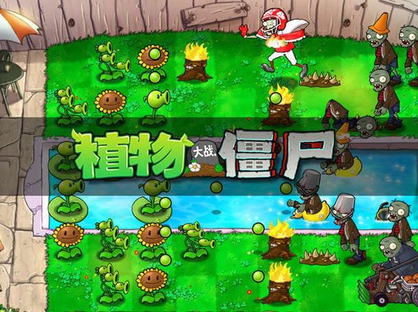 大战僵尸经典版图标