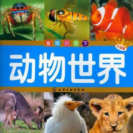 《动物世界》全集