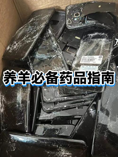 养羊必吃三种药
