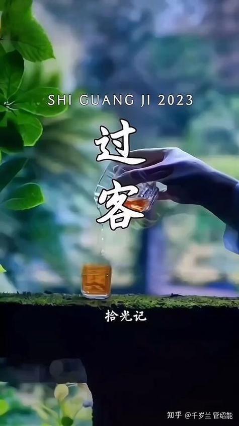 繁花落尽皆过客,菩提树下顿空门