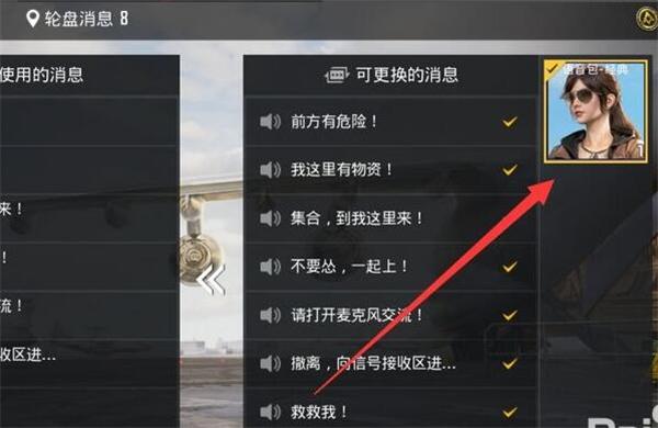 和平精英语音包怎么设置截图