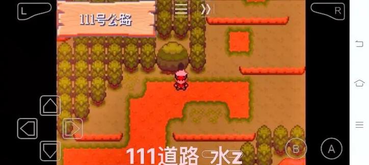口袋妖怪绿宝石神奇糖果分布图