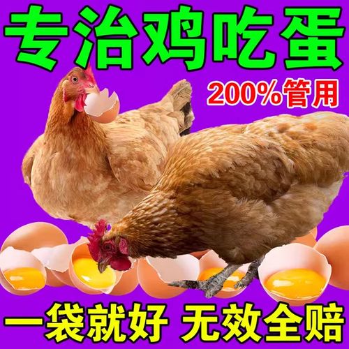 鸡啄尾毛怎么治最快最有效