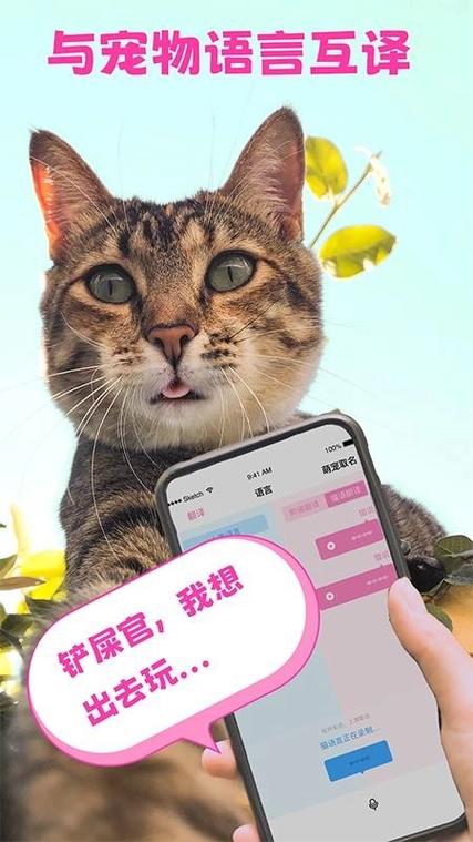 下载猫咪翻译器人猫交流器