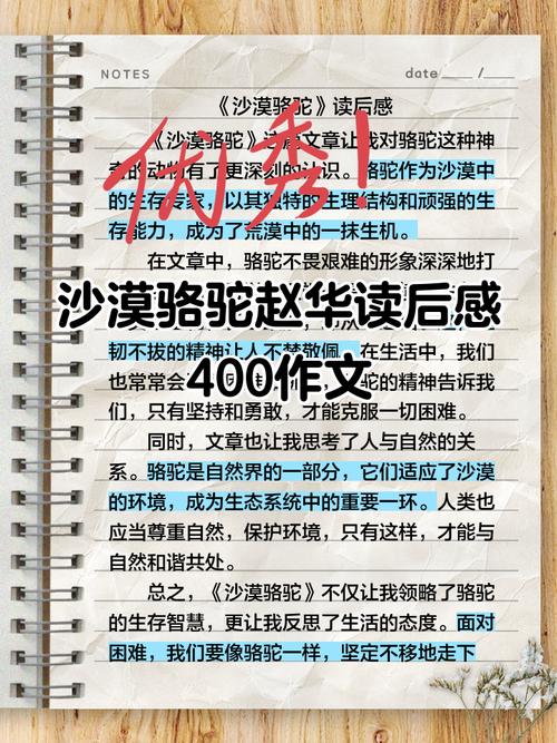 沙漠风暴全文阅读