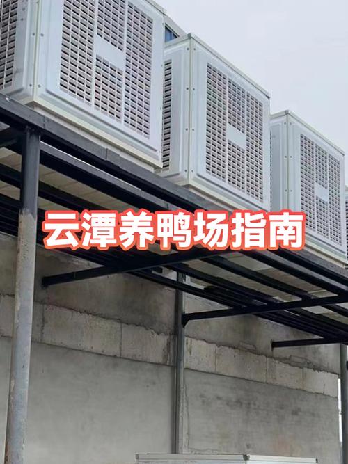 附近5公里养鸭场缩略图