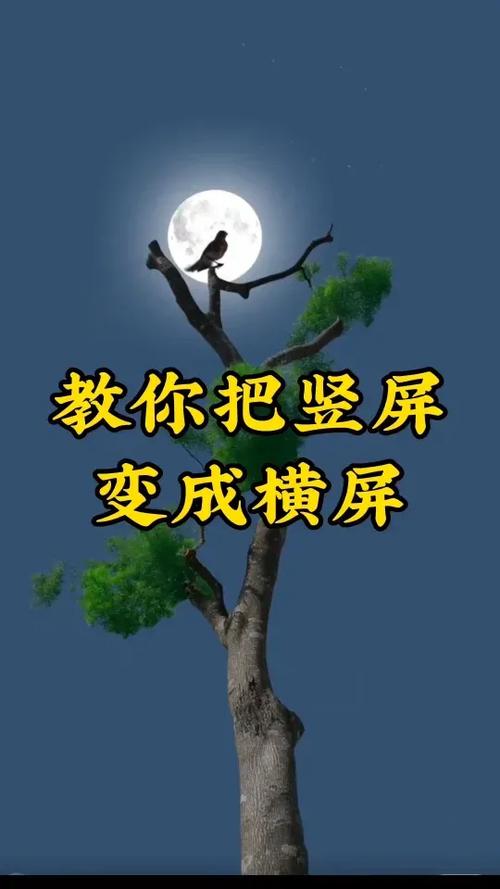 相机竖着拍出来是横的怎么调整截图