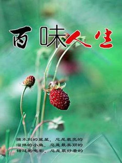 写尽人生酸甜苦辣的诗词