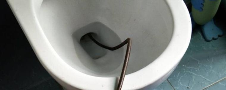 马桶被塑料圆球堵了图标