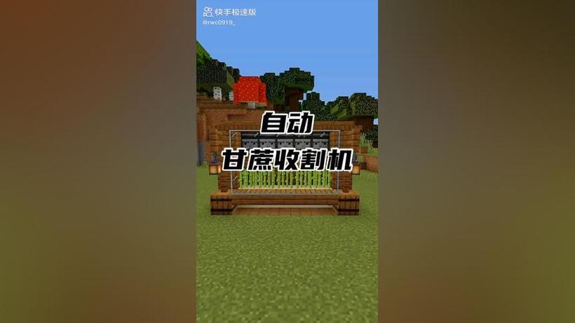 我的世界甘蔗自动机缩略图