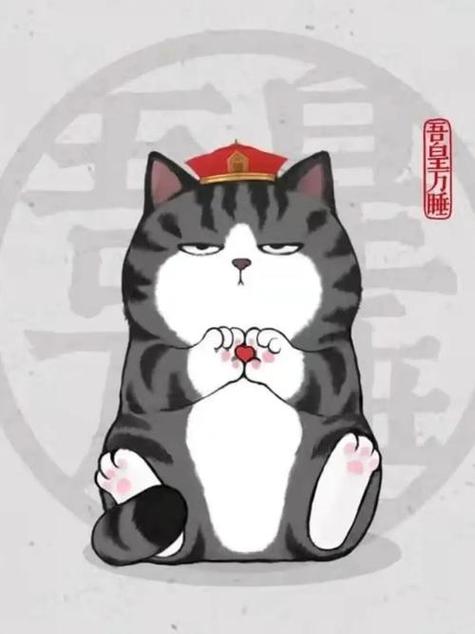 主角是一只猫的中国动漫