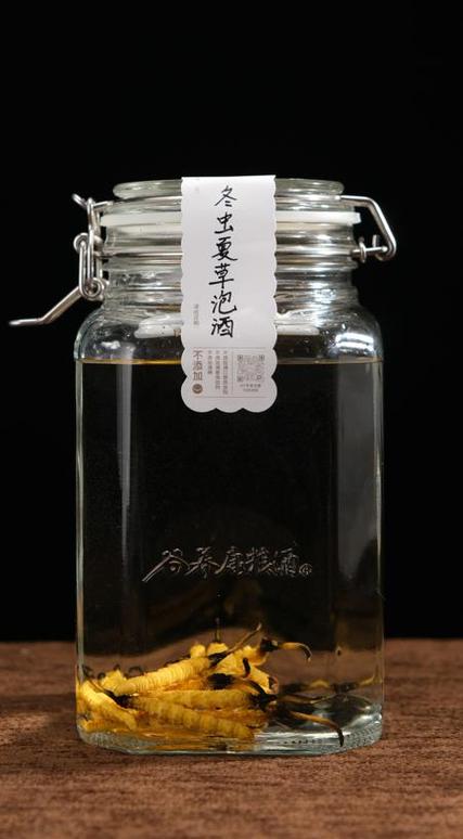 茅台泡冬虫夏草有什么功效