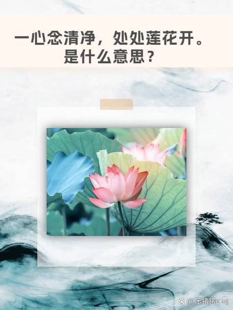 心念的寓意和象征