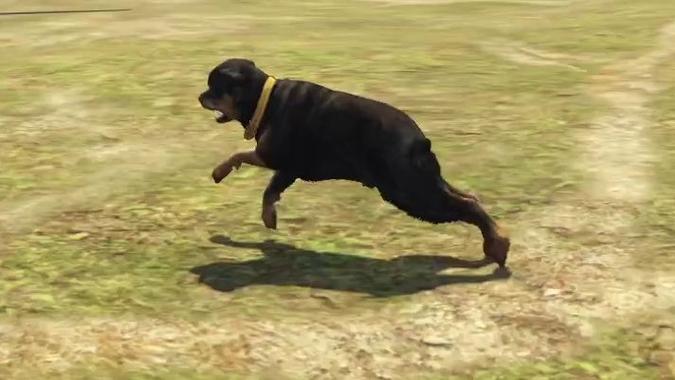 GTA5怎么买宠物