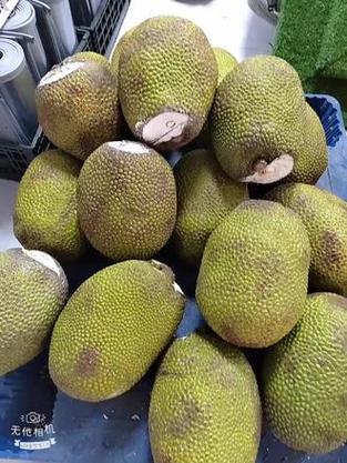 菠萝蜜今年多少钱一斤