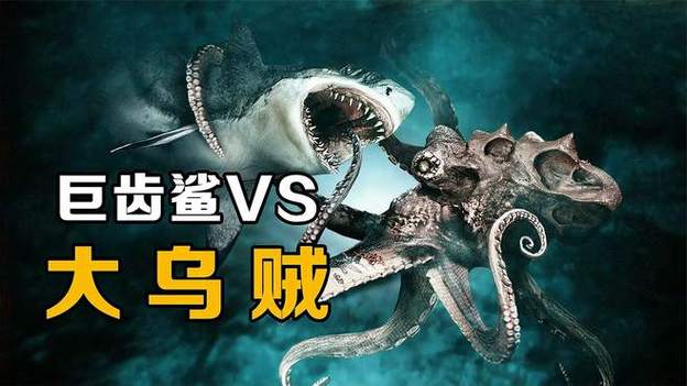 大王乌贼VS巨齿鲨缩略图