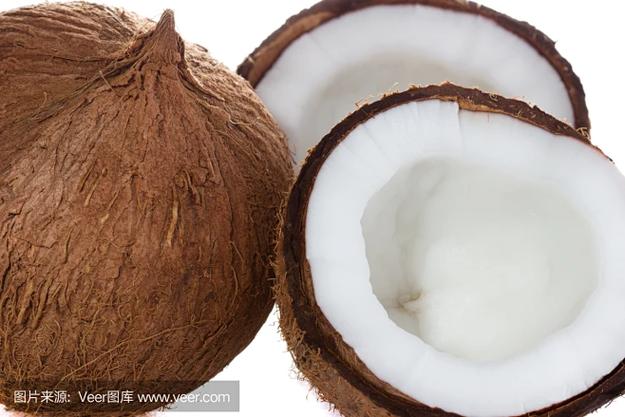 coconut椰子