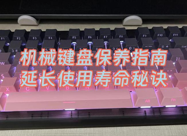 机械键盘的寿命影响因素