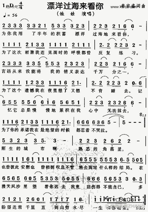 《漂洋过海来看你》歌词