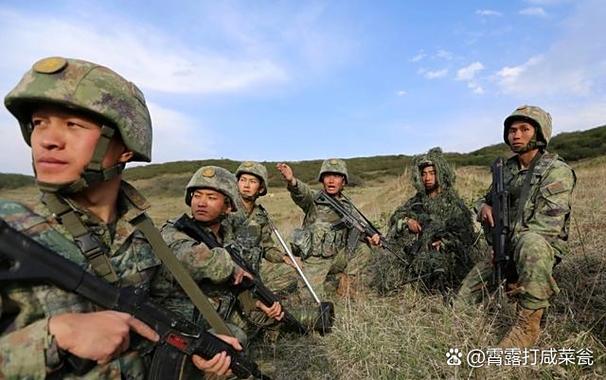 陆军出任务都干什么截图