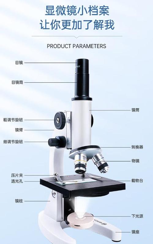 显微镜的使用方法