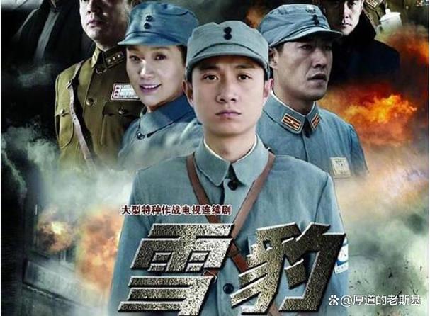 最新枪战片电视剧大全缩略图