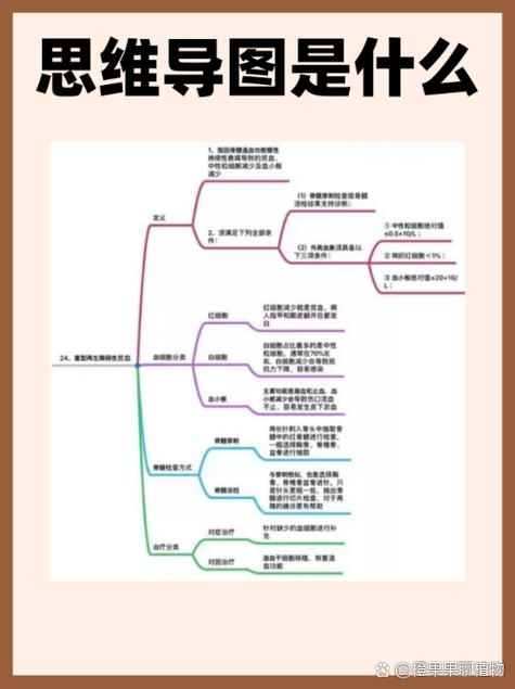 mindmap思维导图软件
