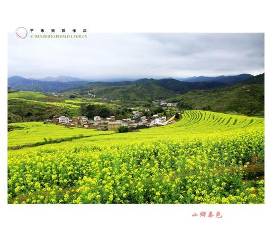春遇乡春