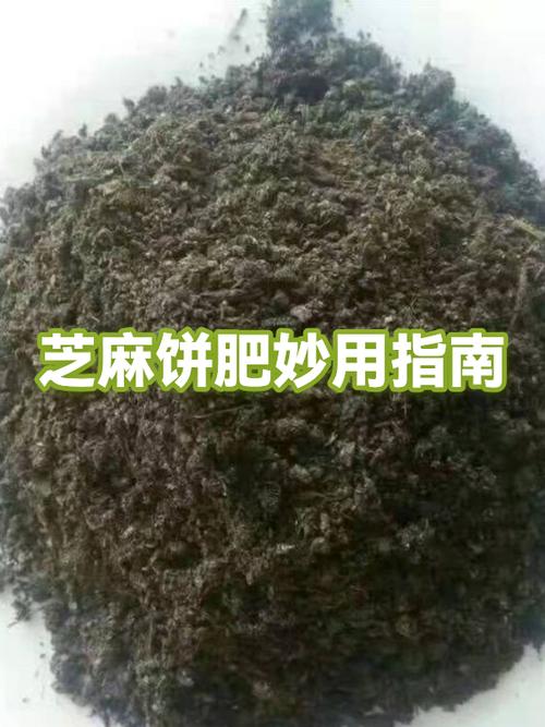 压榨芝麻饼多少钱一斤