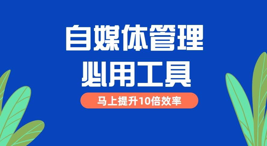 为什么想做新媒体运营