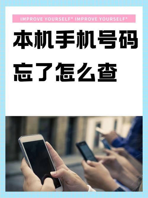 怎么查看手机号码是谁的实名