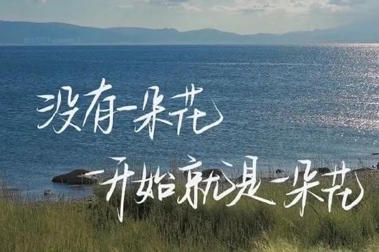 最牛微信朋友圈