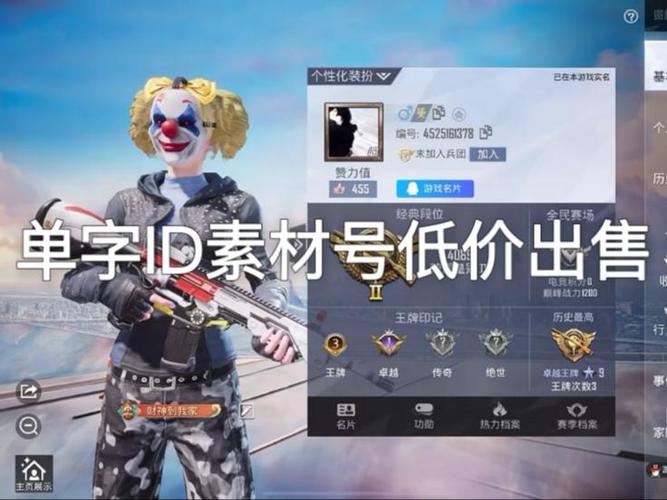 和平精英ID图标