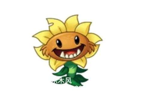 原始向日葵大金币是多少截图