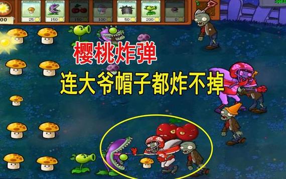 植物大战僵尸ol关服