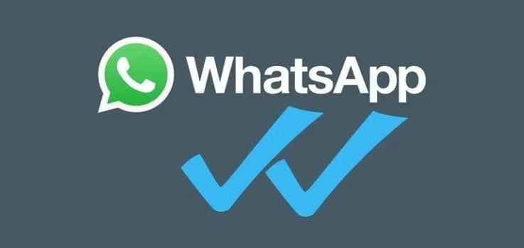app图标上有个勾的标识啥意思